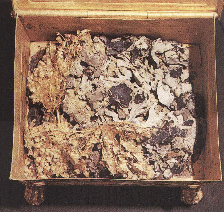 Επανεξέταση των οστών των βασιλικών τάφων της Βεργίνας