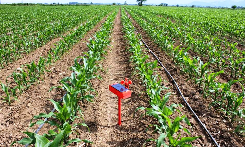 Ομιλία με θέμα τις οικολογικές καλλιέργειες