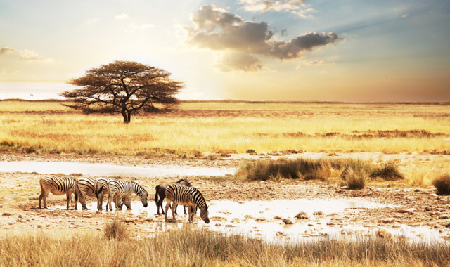 Ειρηνουπόλεως Δημήτριος: Η Ορθοδοξία στην Τανζανία (βίντεο)