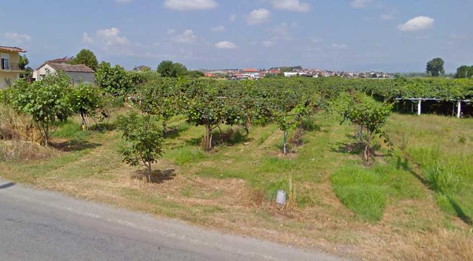 Εσπέρα Χριστουγέννων στη Ν. Έφεσσο Πιερίας