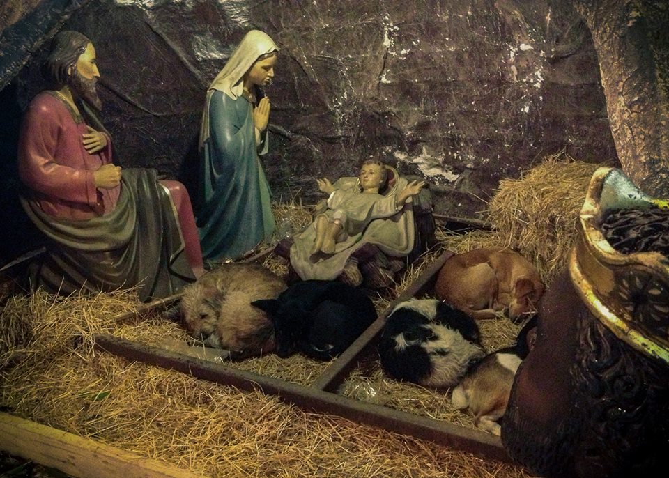 Православные христиане десяти Поместных Церквей встречают Рождество