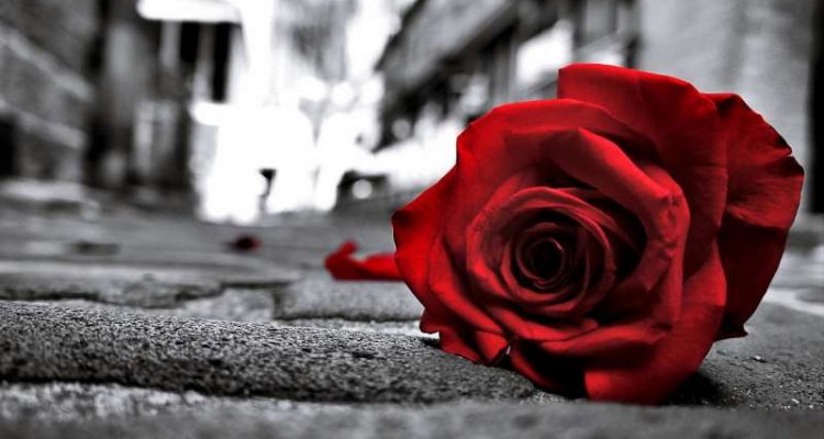 Συνεχίζεται ο “Έρανος της Αγάπης” των Ενοριακών Φιλοπτώχων