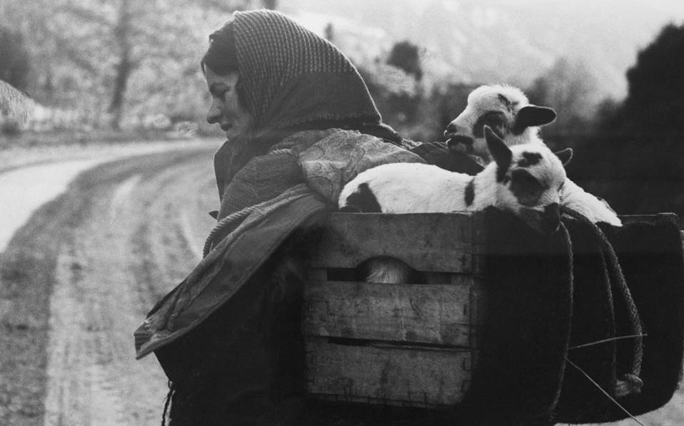 Γιατί τρώμε το κρέας των ζώων;