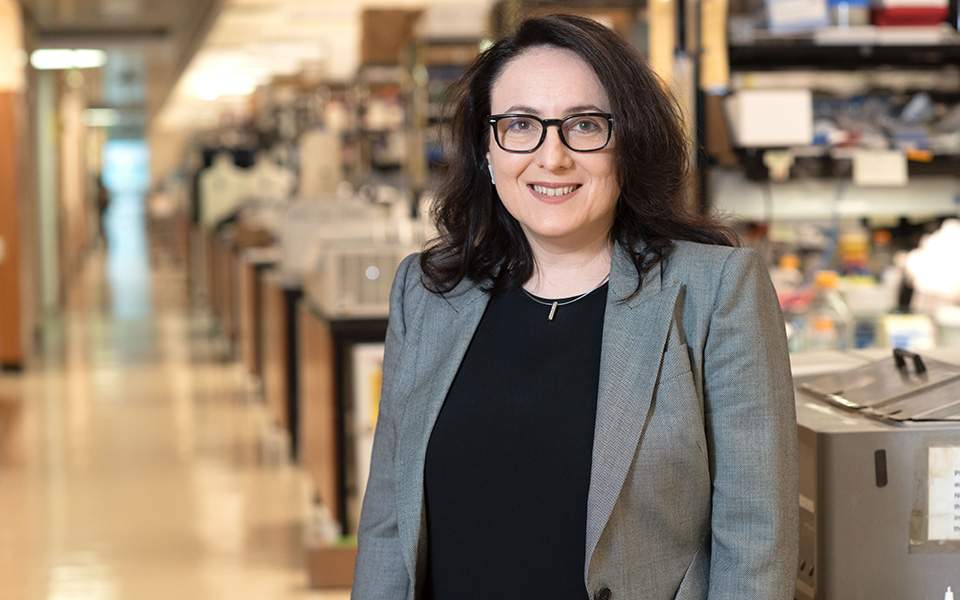 Διεθνές βραβείο σε Ελληνίδα επιστήμονα