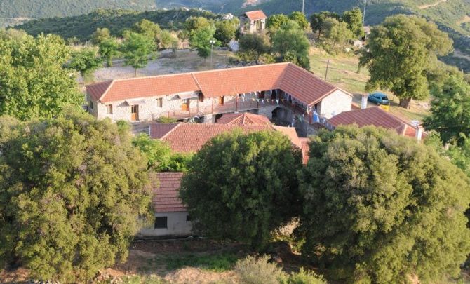 “Να επιστραφούν τα κειμήλια της Ιεράς Μονής Βλοχού”