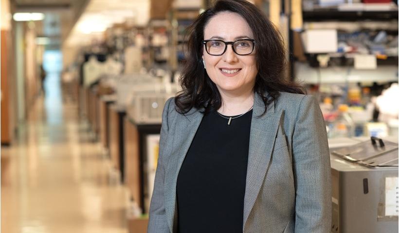 Η δρ Κατερίνα Ακάσογλου στον πόλεμο κατά της σκλήρυνσης κατά πλάκας