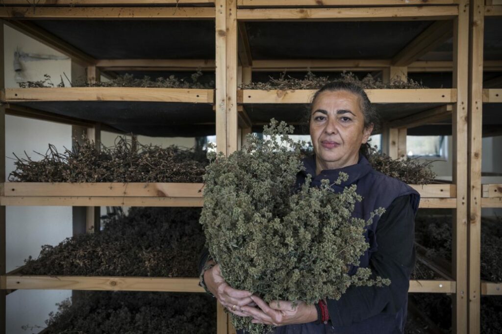 Η ΜΚΟ ΑΠΟΣΤΟΛΗ θα ενισχύσει επιχειρήσεις και συνεταιρισμούς