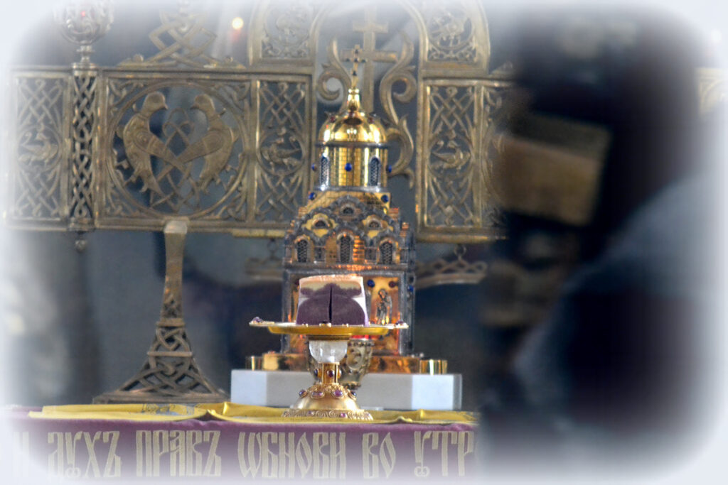 Митрополит Иларион: Господь дает нам все необходимое для того, чтобы мы могли искоренять в себе злое начало и развивать доброе