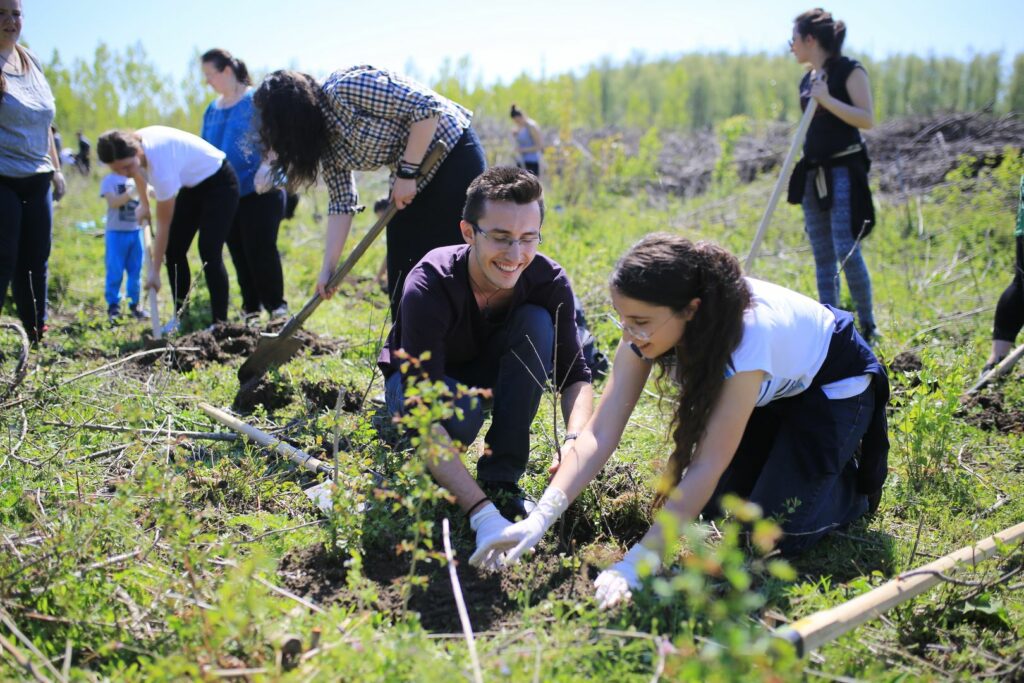 ATOR Iaşi demarează o campanie de împădurire