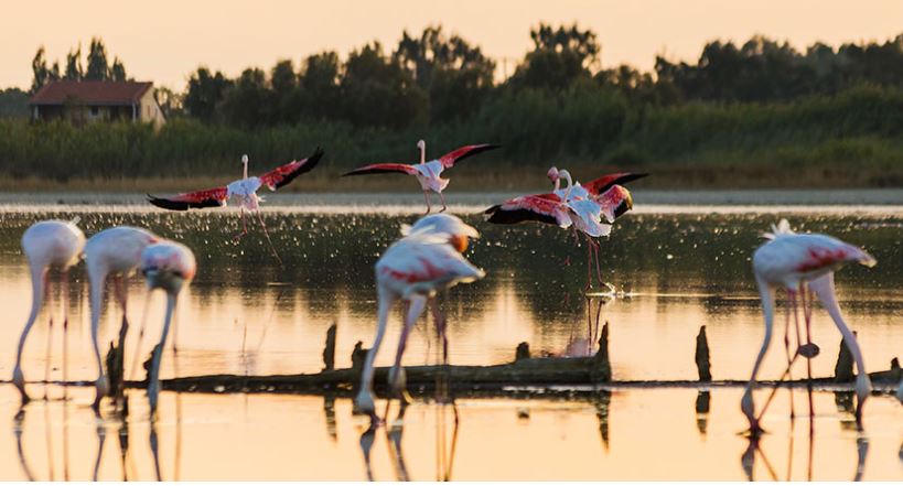 Η προοπτική του οικοτουρισμού στην Ι.Μ. Κώου