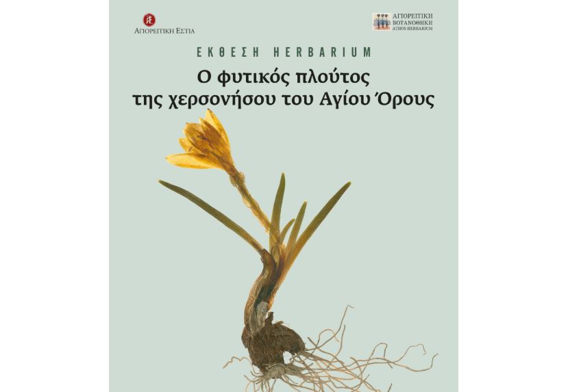 Έκθεση herbarium: «Ο Φυτικός Πλούτος του Αγίου Όρους»
