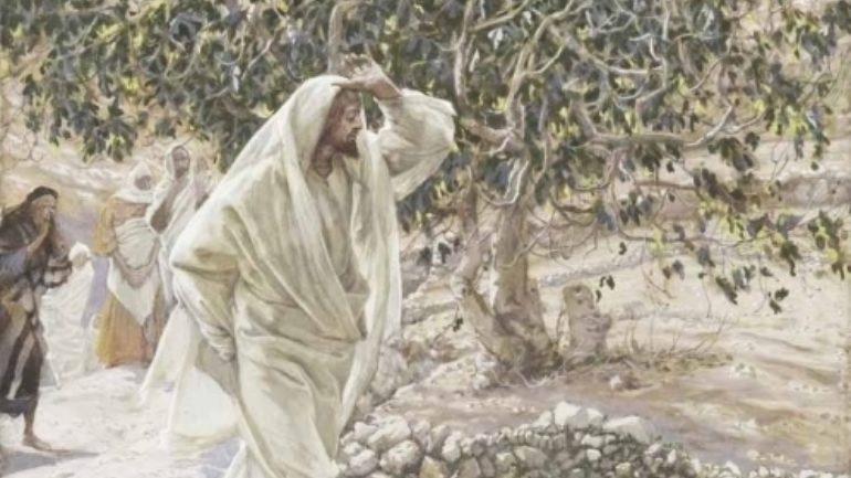 Τι συμβολίζει η ξηρανθείσα συκή