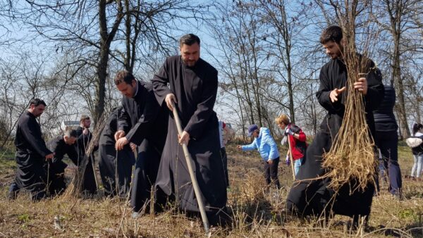 Εθελοντική αναδάσωση πραγματοποίησαν ιερείς στην Ρουμανία