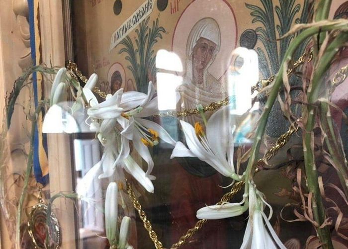 Άνθισαν τα ξερά κρινάκια στην εικόνα της Παναγίας