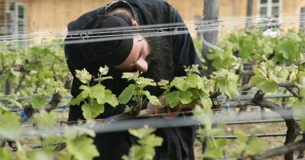 “Οἶνος εὐφραίνει καρδίαν ἀνθρώπου”