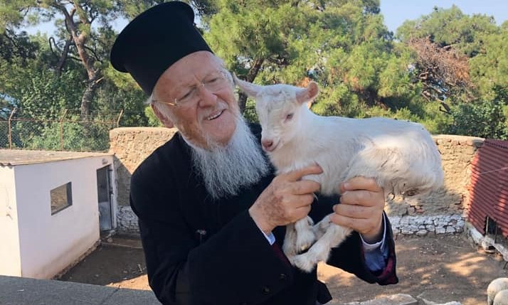 Fotografia zilei: Patriarhul Ecumenic binecuvântează un ied nou născut