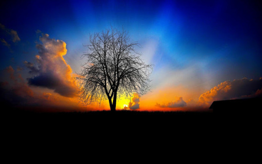 Αφήνουμε, δυστυχώς, να καθορίζεται η ζωή μας από φόβους