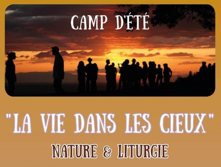 A summer camp organized by the Romanian Metropolis for young people