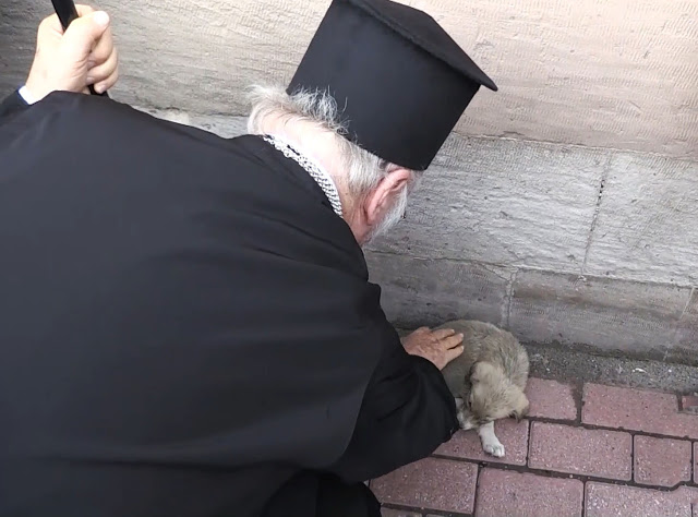 Ο Οικουμενικός Πατριάρχης και το μικρό κουταβάκι