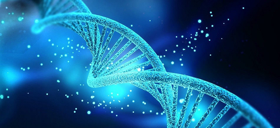 “Γονιδίωμα: Άνθρωπος, ανταλλακτικό ή αντικείμενο έρευνας και πειραματισμού;”