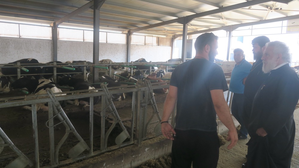 Ο Σύρου Δωρόθεος σε πρότυπη αγελαδοτροφική φάρμα