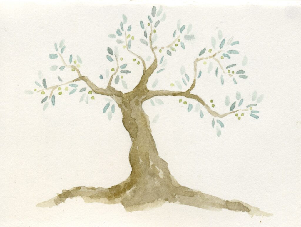 Ένας μοναχός φύτεψε μια ελιά και άρχισε να προσεύχεται