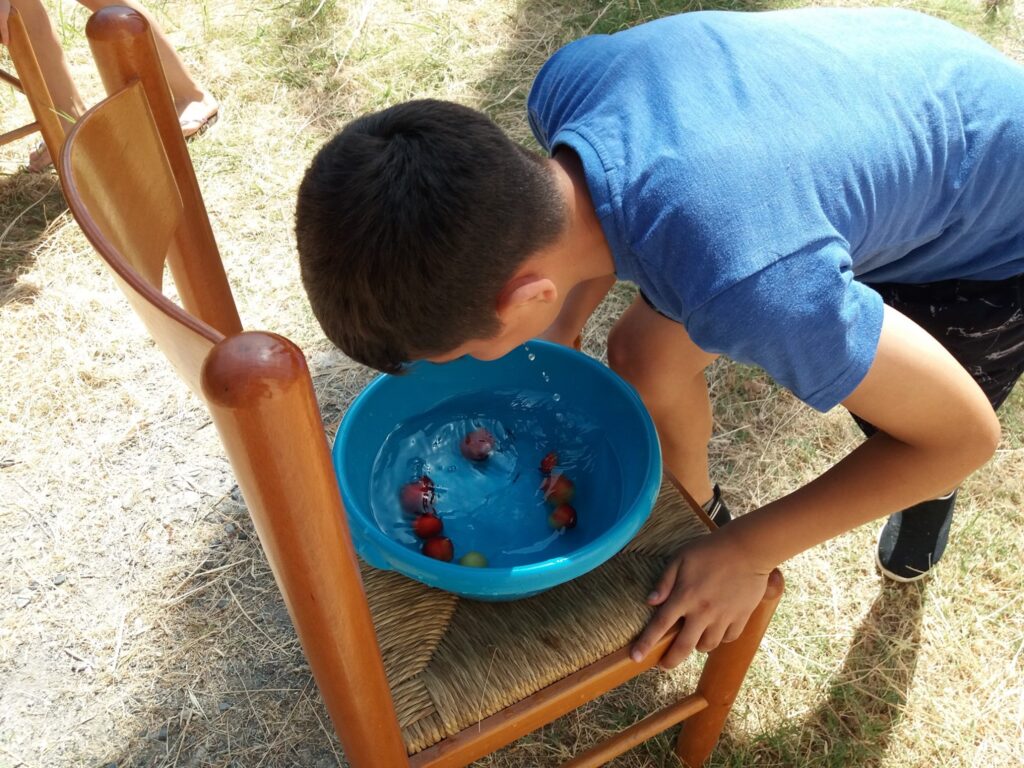 Me bekimin dhe përkujdesjen e Mitropolitit të Elbasanit, Shpatit dhe Librazhdit u zhvillua kampi 5-ditor pranë enorisë së Shën Gjergjit Kuqan.