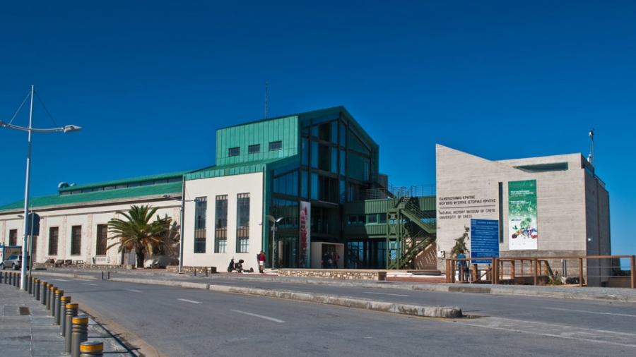 Προγράμματα  για τα παιδιά στο Μουσείο Φυσικής Ιστορίας Κρήτης