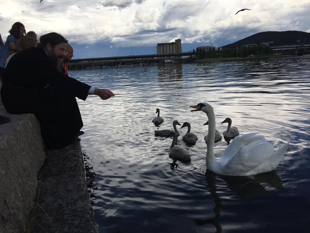 Episcopul Macarie: Domnul ne scoate din iluziile lumii postmoderne