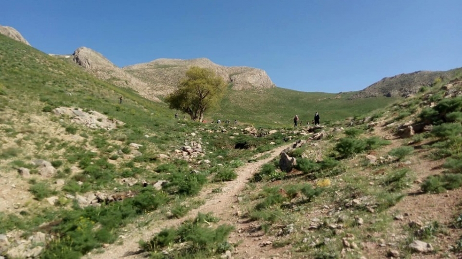 ფერედნელი ქართველის წერილი – ღმერთს ებარებოდე, პატრიარქო!