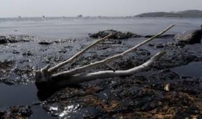 Ένας κόσμος με πετρωμένη συνείδηση