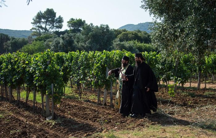 Αγιασμός για τη συγκομιδή των σταφυλιών στη Μονή Χιλανδαρίου