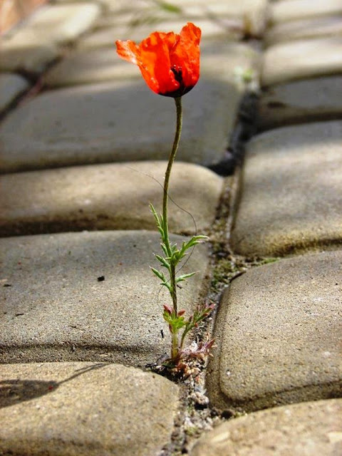 Σου είπαν δεν έχεις πίστη…