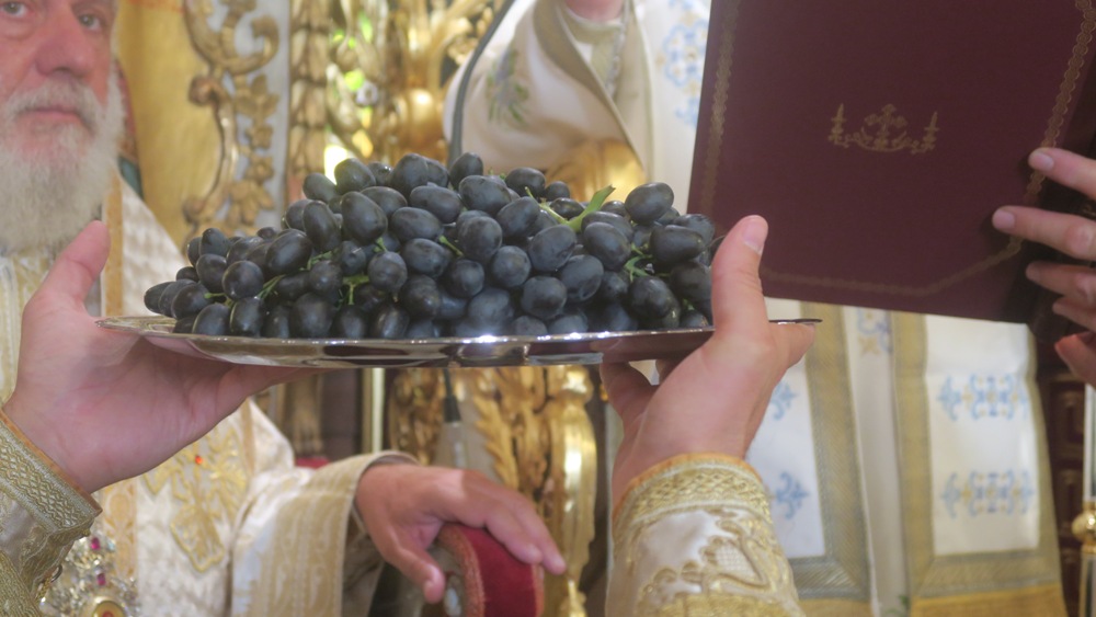 Η ΦΩΤΟΓΡΑΦΙΑ ΤΗΣ ΗΜΕΡΑΣ: “Ο καρπός της αμπέλου”