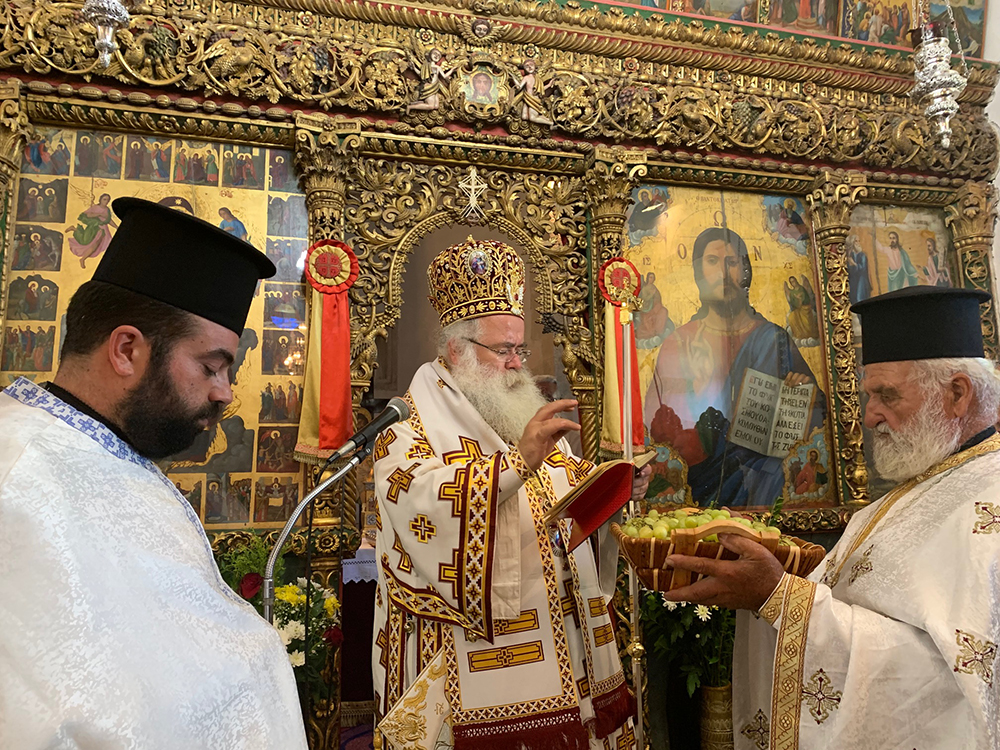 Τα πρώτα σταφύλια στις Μάλλες Ιεράπετρας