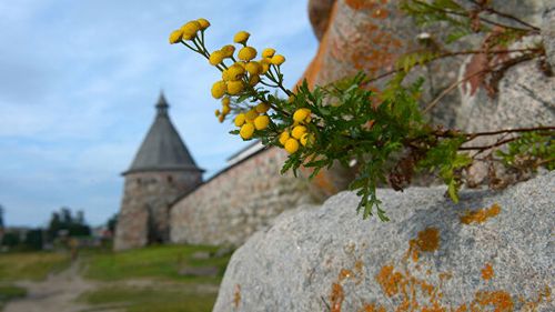 Ο Πατριάρχης Μόσχας στα νησιά Σολοβκί και την Ι.Μ. Μεταμορφώσεως