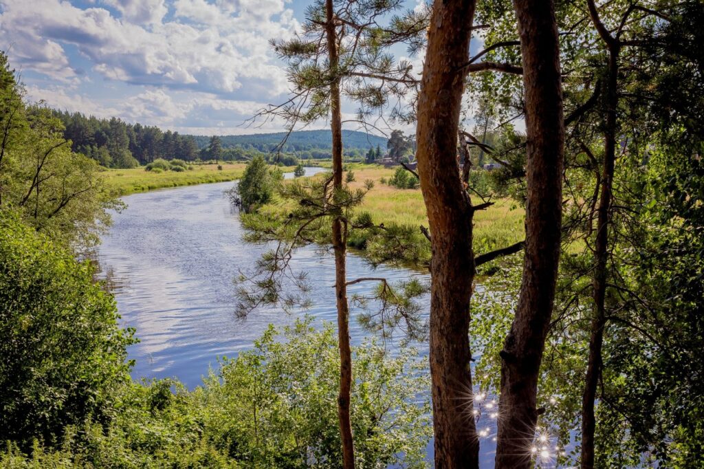 Под Екатеринбургом пройдет III Всероссийский слет православных центров помощи наркозависимым