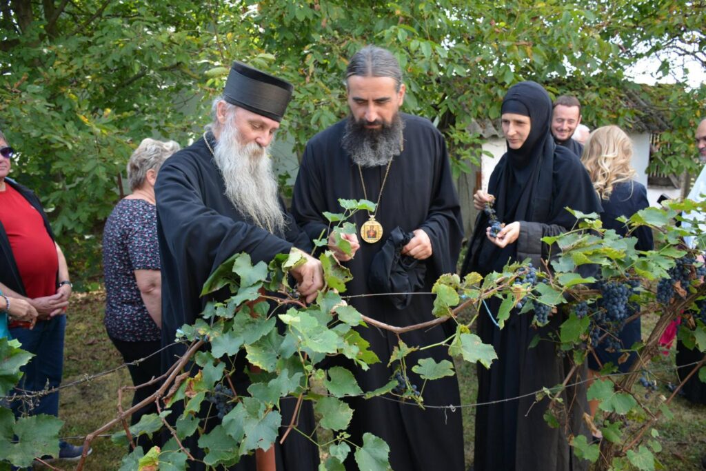 Архијерејска Литургија у родном селу патријарха Павла
