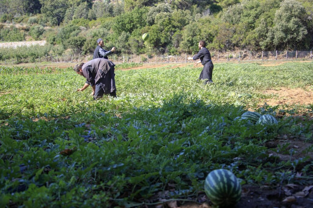 There are two basic ways to cure our soul