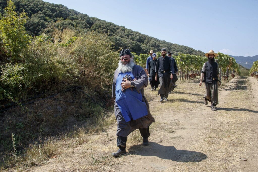 We see ourselves only in the eyes of the Other – Photo journal from grapes gathering