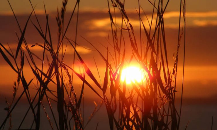 Από που προέρχονται οι φωτεινές ιδέες;