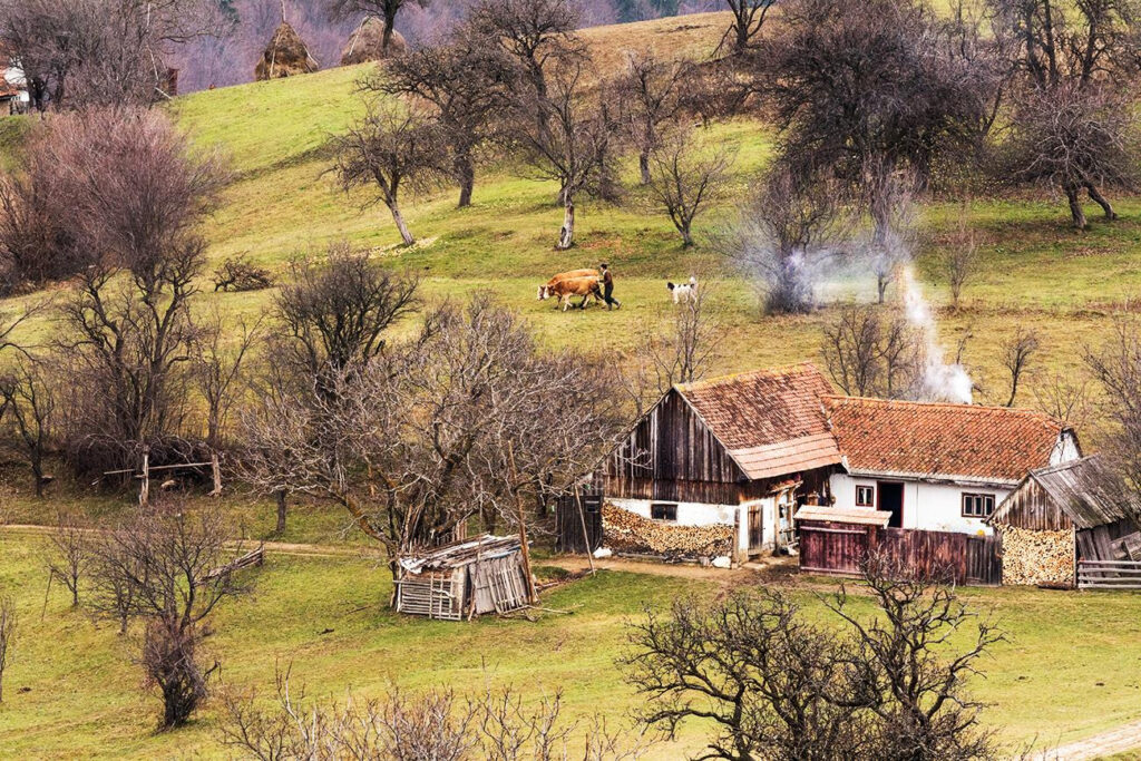 Ediţia din 2019 a Festivalului „Din dragoste pentru Frumos” este dedicată satului românesc (Program)