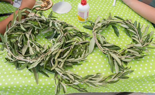 Στεφάνια ελιάς από τον Μαραθώνα για τους νικητές του Μαραθωνίου του Τορόντο