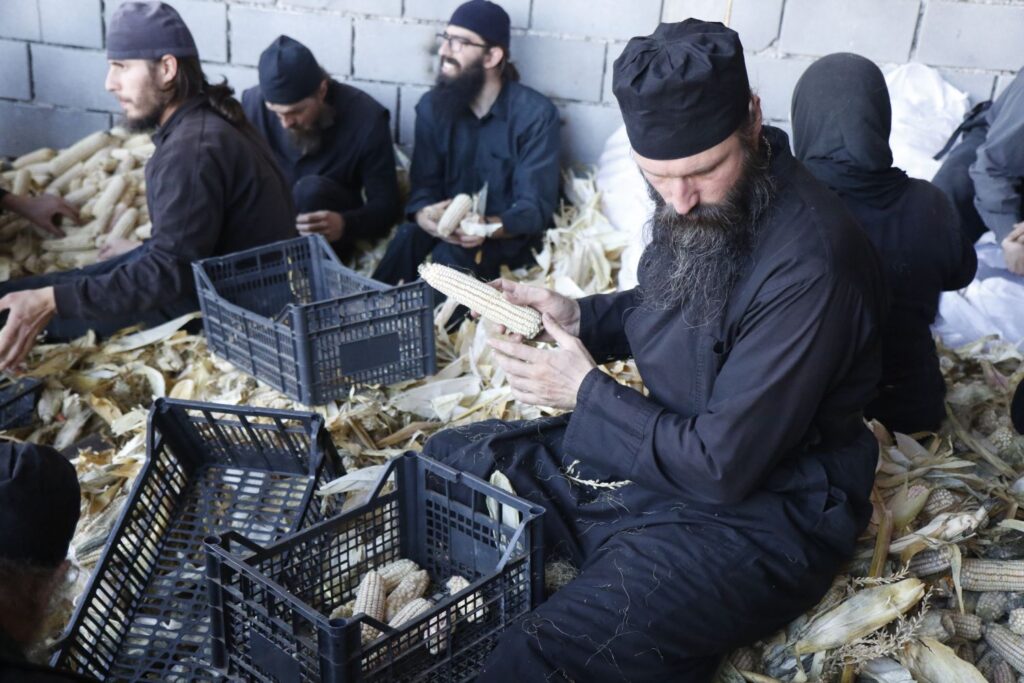 Завршна моба на економији манастира Грачанице