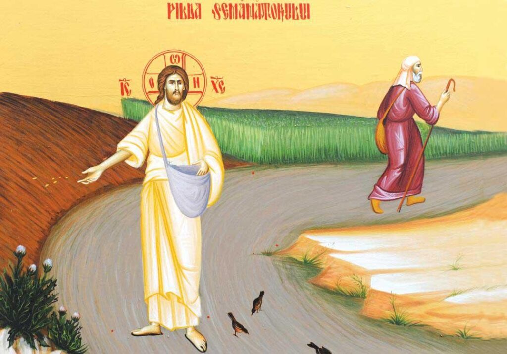 Sămânța are putere de rodire în sine. Să n-o zădărnicim!