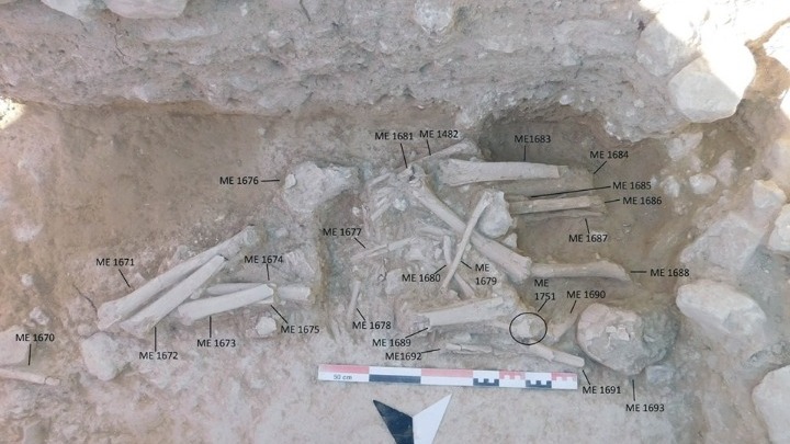 Οι ανασκαφές στον Πετρά και το Μινωικό Ανάκτορο