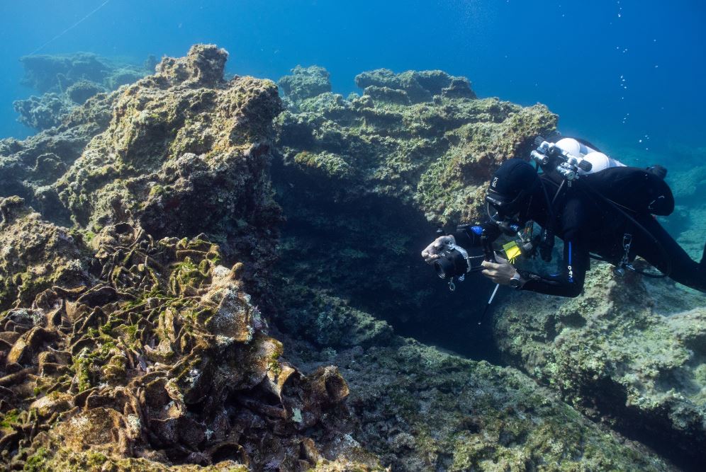Αρχαιολογικοί θησαυροί στα ναυάγια της Κάσου
