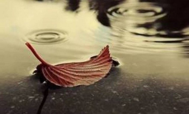 Δεν έχει άλλη επιλογή