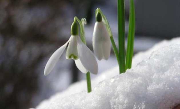 Τί είναι η αγιότητα;