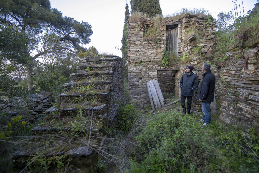 About Irrational Anger and Lust